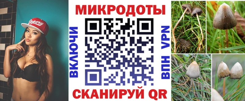 Галлюциногенные грибы мицелий Шебекино